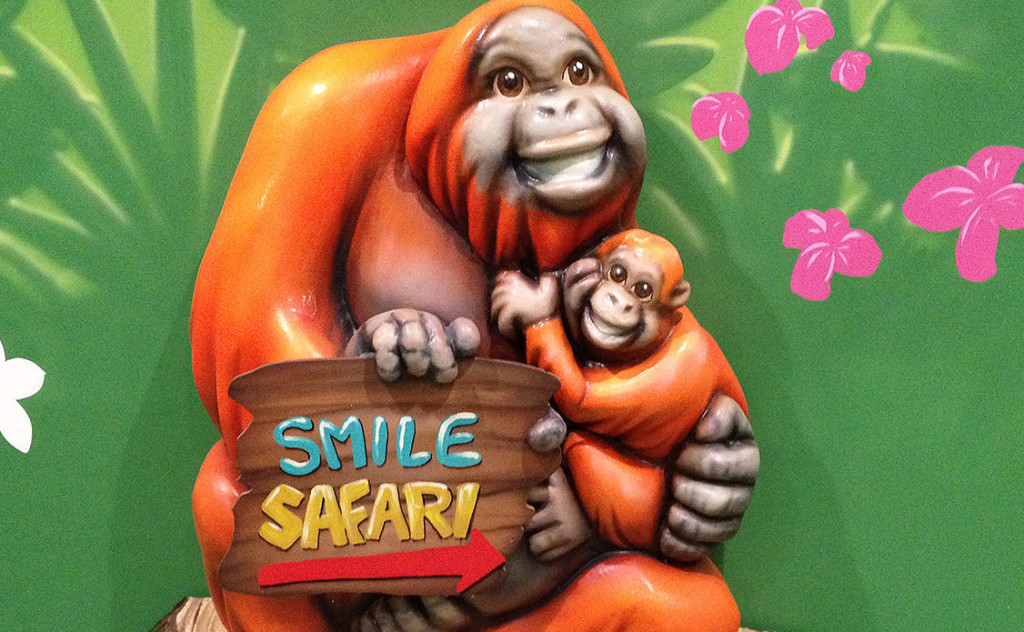 Smile Safari